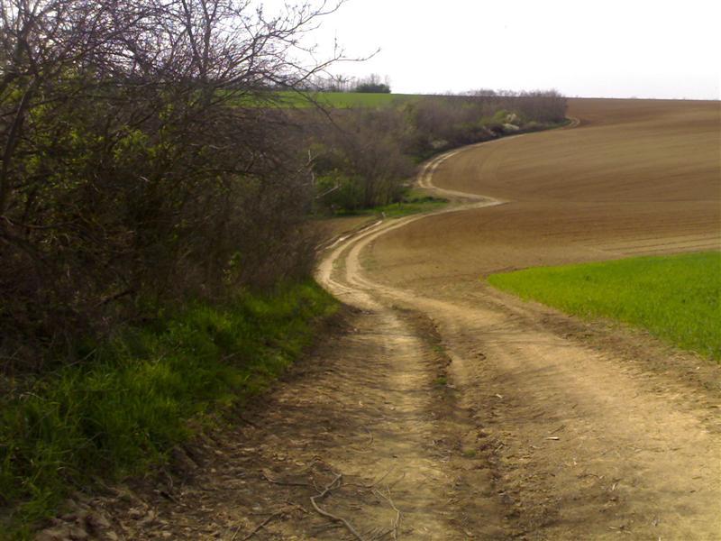 200704091688 .jpg
